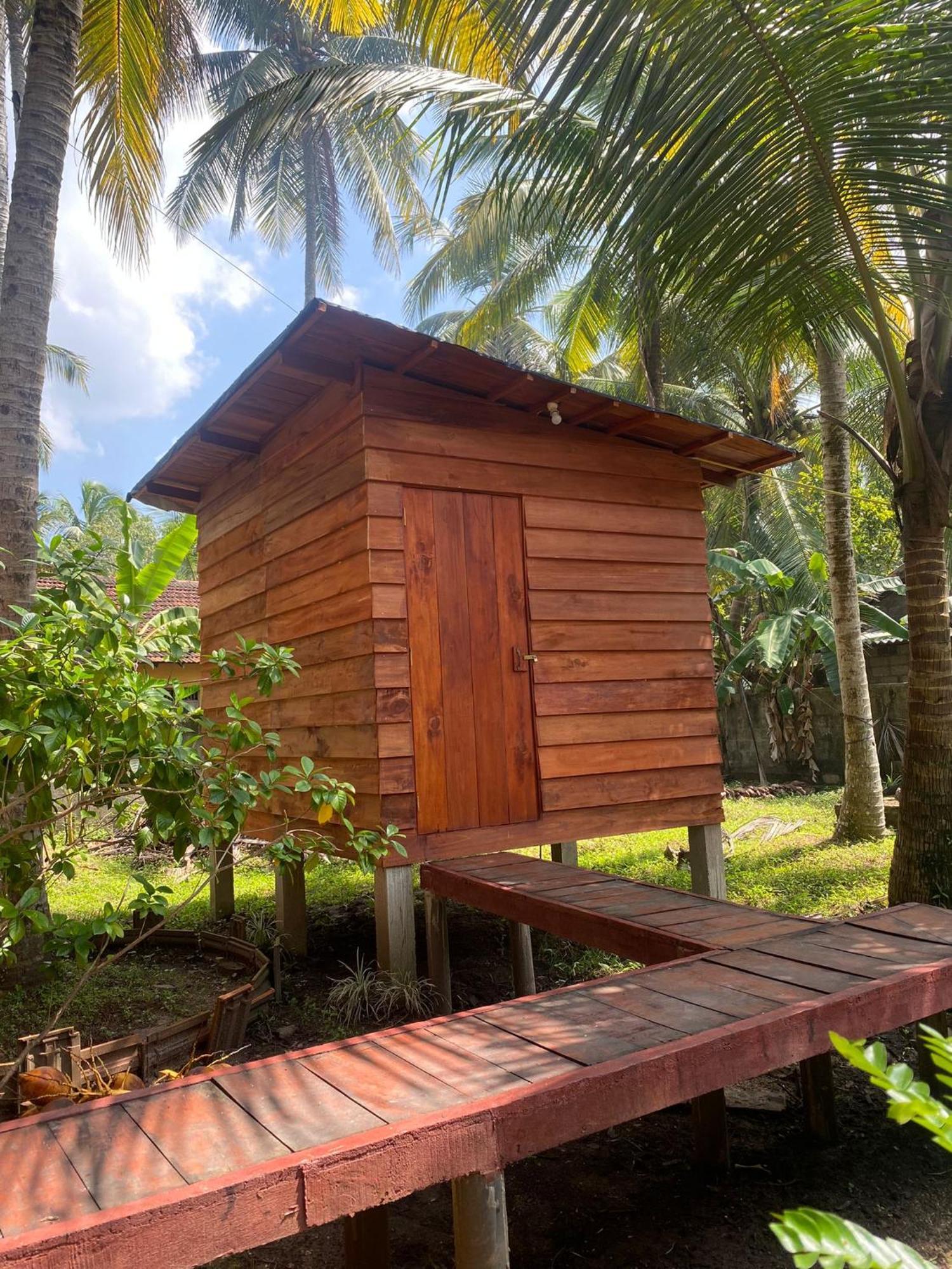 Coco Cabins By Thush Bentota Kültér fotó
