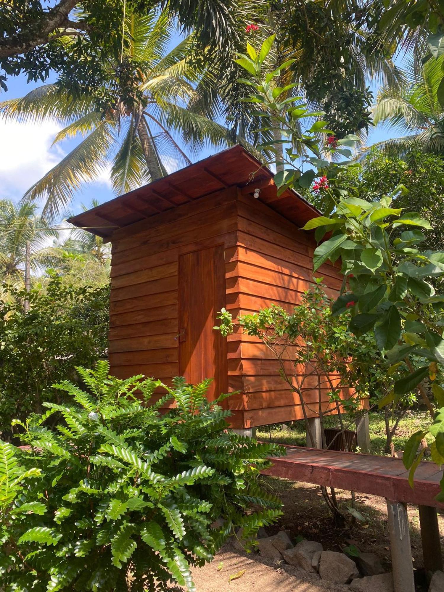 Coco Cabins By Thush Bentota Kültér fotó